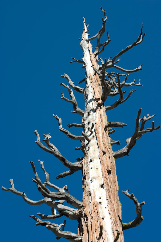 1/200 sec at f / 8.0 with 55.0-200.0 mm on 55 mm using ISO 100 
