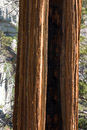 1/60 sec at f / 8.0 with 55.0-200.0 mm on 125 mm using ISO 100 