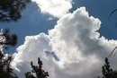 1/1000 sec at f / 8.0 with 55.0-200.0 mm on 55 mm using ISO 100 