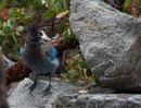 1/250 sec at f / 5.6 with 55.0-200.0 mm on 200 mm using ISO 400 