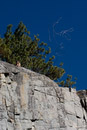 1/500 sec at f / 22 with 55.0-200.0 mm on 80 mm using ISO 400 
