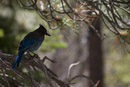 1/400 sec at f / 5.6 with 55.0-200.0 mm on 200 mm using ISO 200 