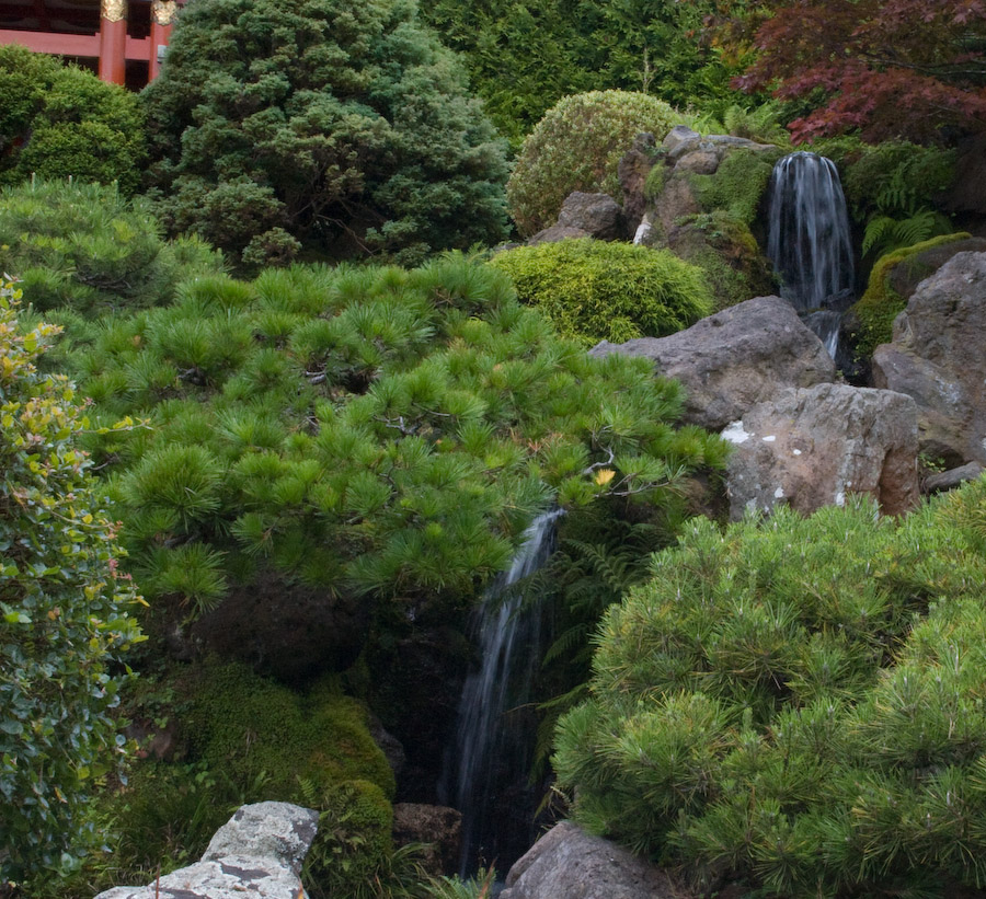  18.0-55.0 mm at 37 mm using ISO 800 exposed at 1/25 sec at f / 32