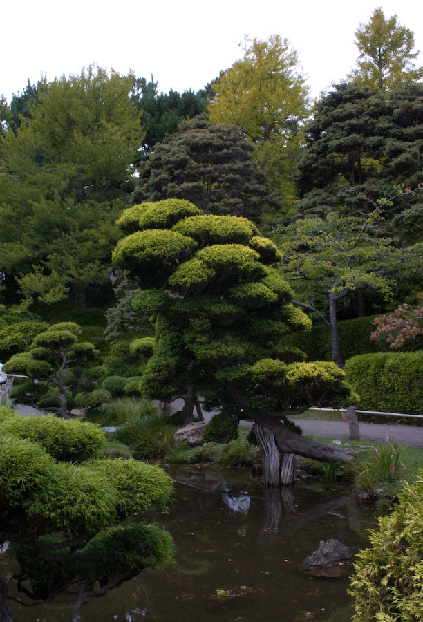  18.0-55.0 mm at 28 mm using ISO 800 exposed at 1/50 sec at f / 29