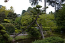  18.0-55.0 mm at 25 mm using ISO 800 exposed at 1/500 sec at f / 8.0