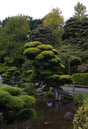  18.0-55.0 mm at 28 mm using ISO 800 exposed at 1/50 sec at f / 29