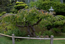  18.0-55.0 mm at 18 mm using ISO 800 exposed at 1/40 sec at f / 22