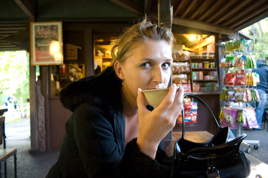  18.0-55.0 mm at 18 mm using ISO 800 exposed at 1/25 sec at f / 3.5