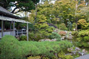  18.0-55.0 mm at 18 mm using ISO 100 exposed at 1/8 sec at f / 8.0