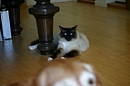 IMG_2153.JPG IMG_2153.JPG
