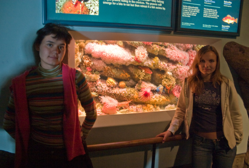 29, July 29, 2007 - 0.8 sec at f / 3.5 with Canon EOS 300D DIGITAL & 18.0-55.0 mm