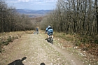 IMG_1310.JPG