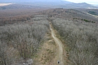 IMG_1331.JPG
