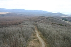 IMG_1332.JPG