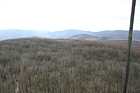IMG_1340.JPG