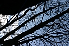 IMG_1413.JPG