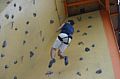 IMG_6832.JPG IMG_6832.JPG