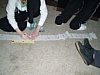 Picture 007.jpg