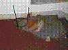 Lyziarsky_2007 493.jpg