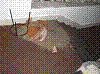 Lyziarsky_2007 495.jpg