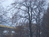 CIMG6935.JPG