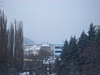 CIMG6936.JPG
