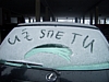 CIMG6953.JPG
