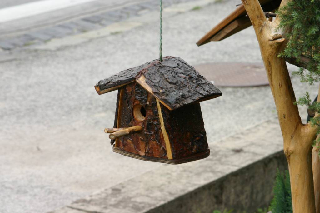 IMG_7771.JPG
