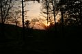 IMG_6329.JPG IMG_6329.JPG