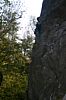 IMG_8950.JPG IMG_8950.JPG