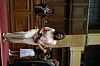 IMG_6656.JPG IMG_6656.JPG