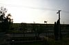 IMG_8588.JPG IMG_8588.JPG