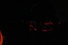 IMG_8726.JPG IMG_8726.JPG