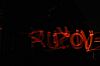 IMG_8729.JPG IMG_8729.JPG
