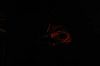 IMG_8734.JPG IMG_8734.JPG