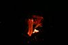 IMG_8771.JPG IMG_8771.JPG