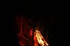 IMG_8776.JPG IMG_8776.JPG