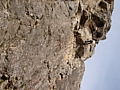 DSC06547.JPG