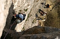 IMG_0995.JPG