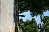 IMG_6958.JPG IMG_6958.JPG