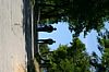 IMG_6961.JPG IMG_6961.JPG