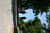 IMG_6962.JPG IMG_6962.JPG