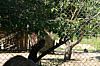 IMG_6986.JPG IMG_6986.JPG
