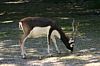 IMG_7007.JPG IMG_7007.JPG