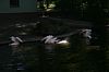 IMG_7120.JPG IMG_7120.JPG